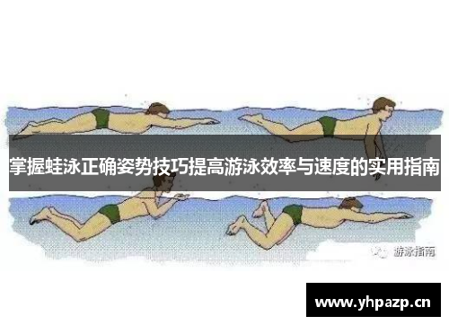 掌握蛙泳正确姿势技巧提高游泳效率与速度的实用指南