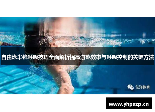 自由泳半镜呼吸技巧全面解析提高游泳效率与呼吸控制的关键方法